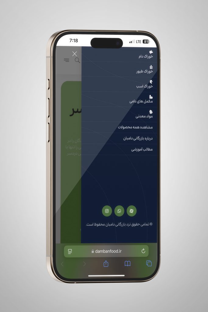 نمونه کار طراحی وبسایت دامبان فود