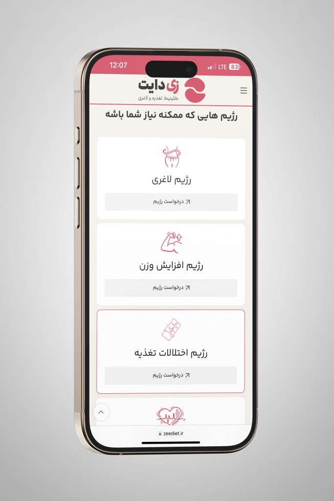 نمونه کار طراحی وبسایت زی دایت