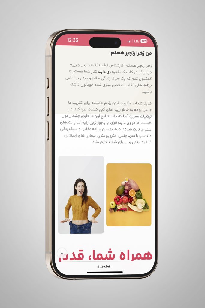 نمونه کار طراحی وبسایت زی دایت