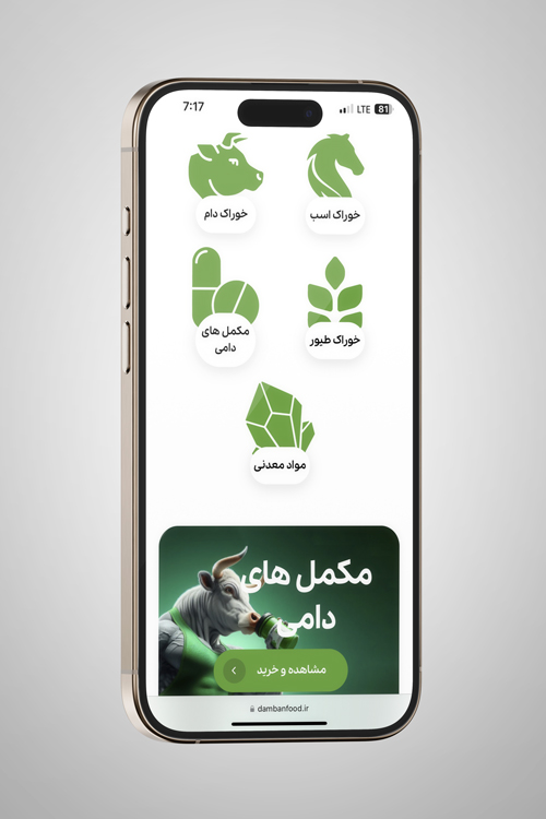 نمونه کار طراحی وبسایت دامبان فود