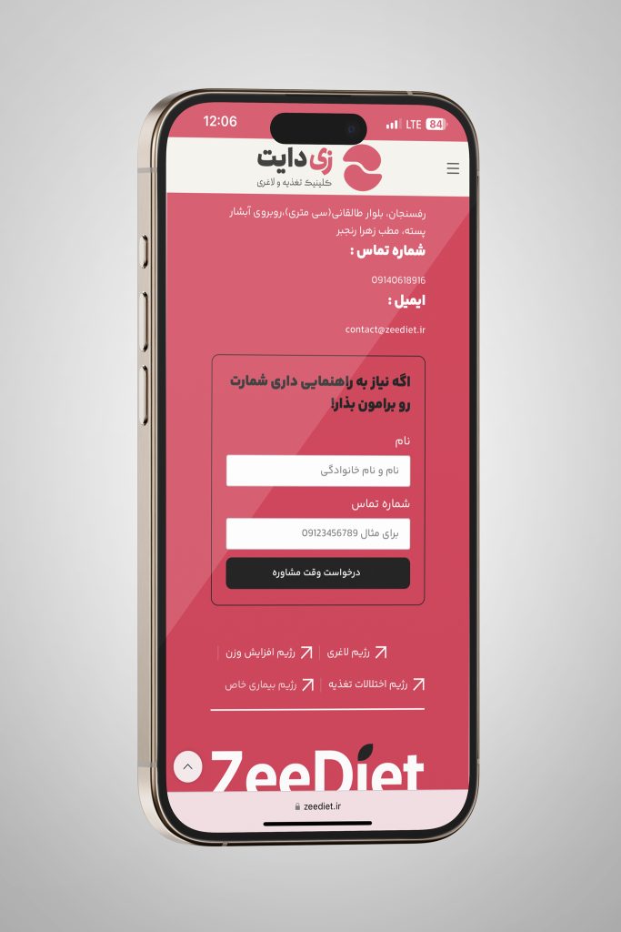 نمونه کار طراحی وبسایت زی دایت