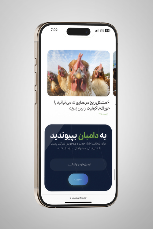 نمونه کار طراحی وبسایت دامبان فود