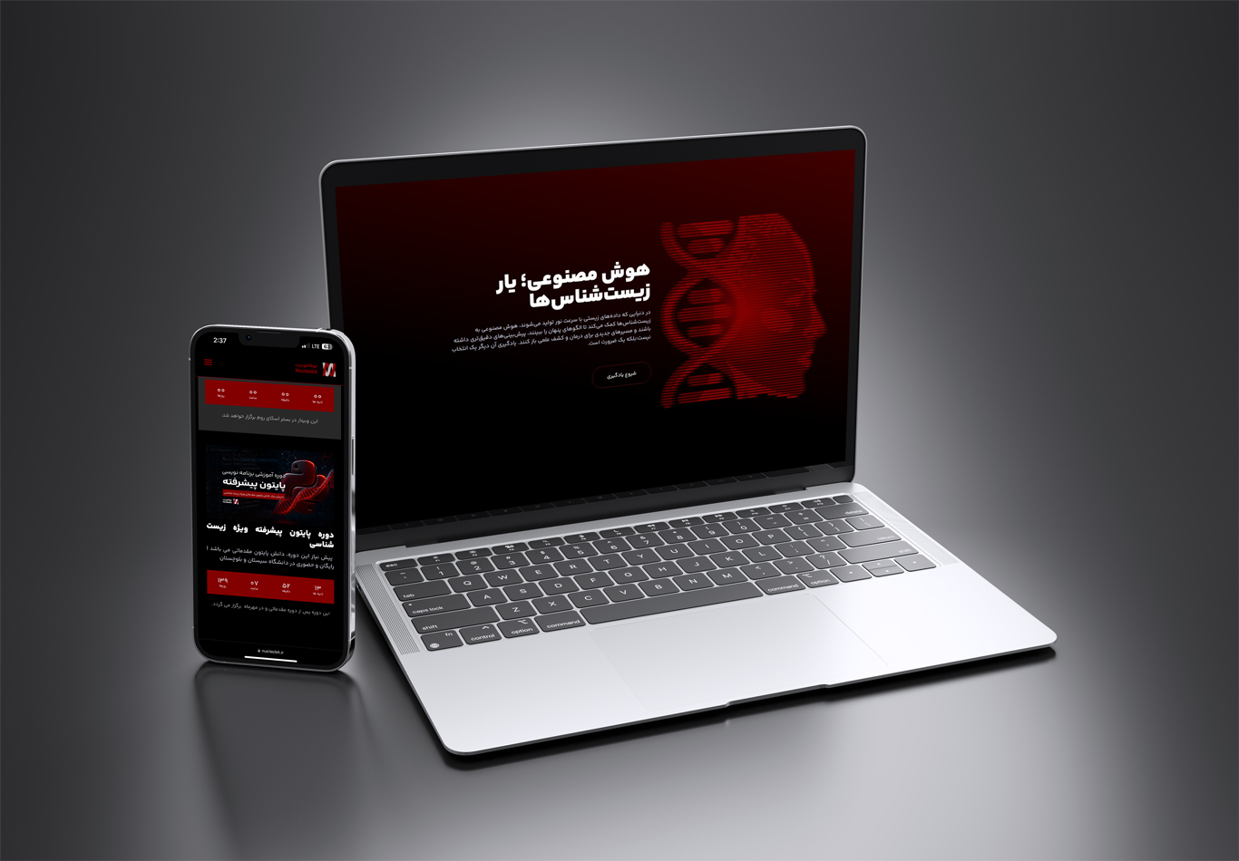 نمونه کار طراحی وبسایت نوکلئوبیت