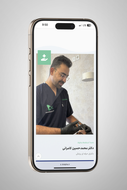 نمونه کار طراحی وبسایت دامبان فود