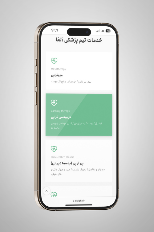 نمونه کار طراحی وبسایت دامبان فود