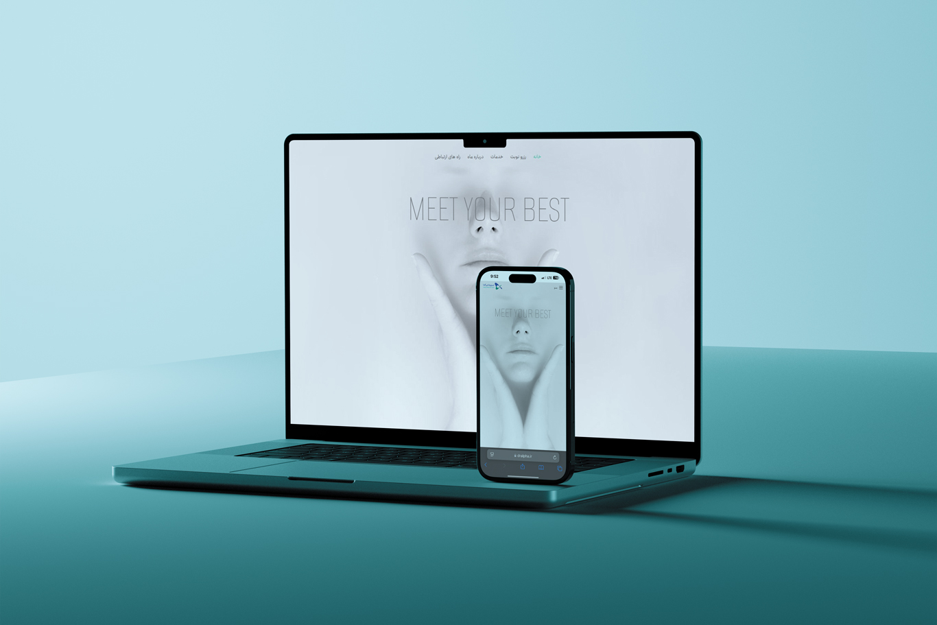 نمونه کار طراحی وبسایت دامبان فود